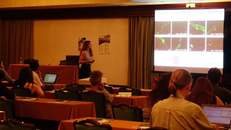 Η κόρη του Γιώργου Παπανδρέου, Μαργαρίτα δίνει διαλέξεις για το Αλτσχάιμερ [εικόνες] | iefimerida.gr 2