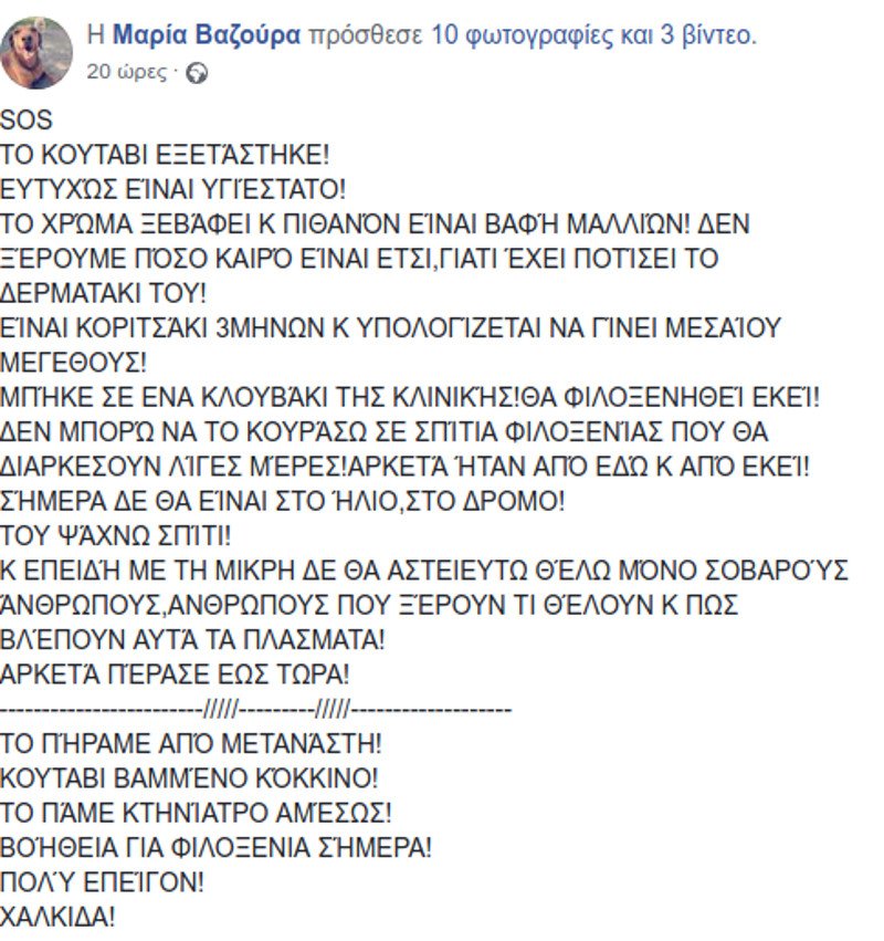 Βίντεο: Εθελοντές πλένουν το κουτάβι που το έβαψαν κόκκινο- Ψάχνουν άνθρωπο να το υιοθετήσει | iefimerida.gr 5