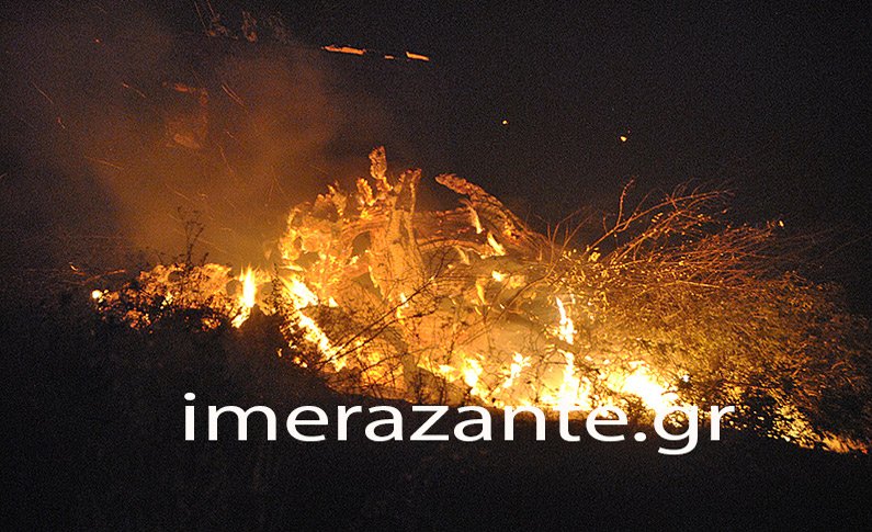 Μάχη με τις φλόγες στη Ζάκυνθο, για 3η μέρα -Απειλήθηκαν οι Μαριές | iefimerida.gr 0