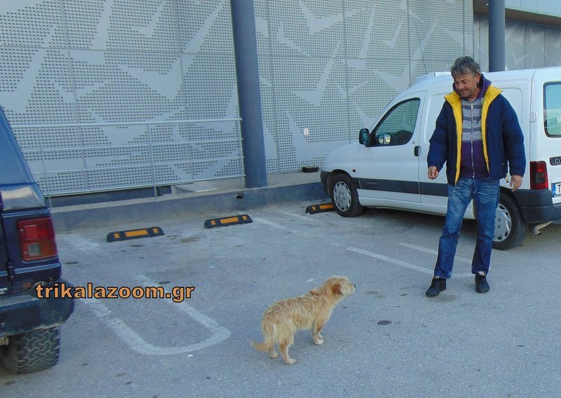Ο άνεργος Μάριος από το υστέρημά του αγοράζει κονσέρβες στον αδέσποτο σκύλο -Φωτογραφία: trikalazoom.gr