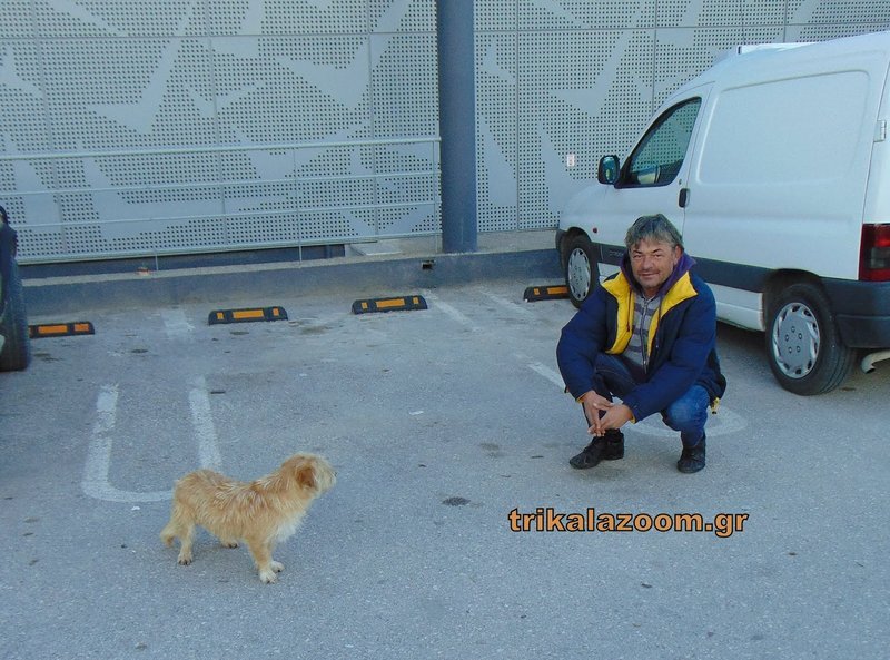 Ο άνεργος Μάριος και ο αδέσποτος σκύλος Μπούμπης θα περάσουν φτωχά Χριστούγεννα-Φωτογραφία: trikalazoom.gr