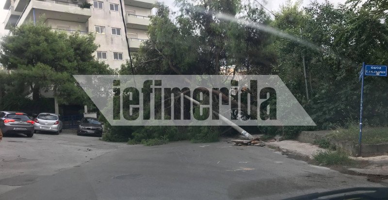 Κάτω από τα δένδρα και την πεσμένη κολόνα της ΔΕΗ βρίσκεται ένα ΙΧ