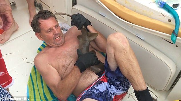 Ούτε σε θρίλερ: Καρχαρίας γαντζώνει τα σαγόνια του στην κοιλιά ενός ψαρά και αρνείται να φύγει [εικόνες & βίντεο] | iefimerida.gr 0