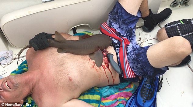 Ούτε σε θρίλερ: Καρχαρίας γαντζώνει τα σαγόνια του στην κοιλιά ενός ψαρά και αρνείται να φύγει [εικόνες & βίντεο] | iefimerida.gr 1