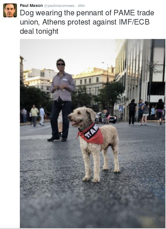 Η συγκέντρωση του ΠΑΜΕ και ο σκύλος που κέντρισε το ενδιαφέρον του Πολ Μέισον [εικόνες] | iefimerida.gr 1