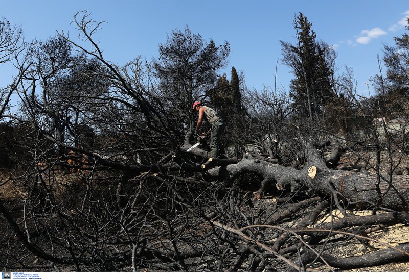 Οι κάτοικοι στο Μάτι προσπαθούν να ξαναζήσουν -Ακόμα μαζεύουν στάχτες και καμένα [εικόνες] | iefimerida.gr 9