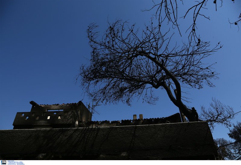 Οι κάτοικοι στο Μάτι προσπαθούν να ξαναζήσουν -Ακόμα μαζεύουν στάχτες και καμένα [εικόνες] | iefimerida.gr 10