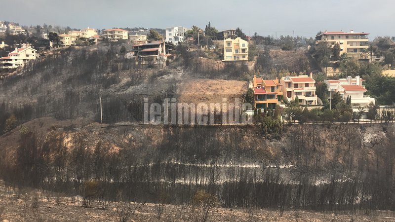 Ολη η περιοχή έχει καεί. Απο θαύμα γλύτωσαν ορισμένα σπίτια- φωτογραφία iefimerida
