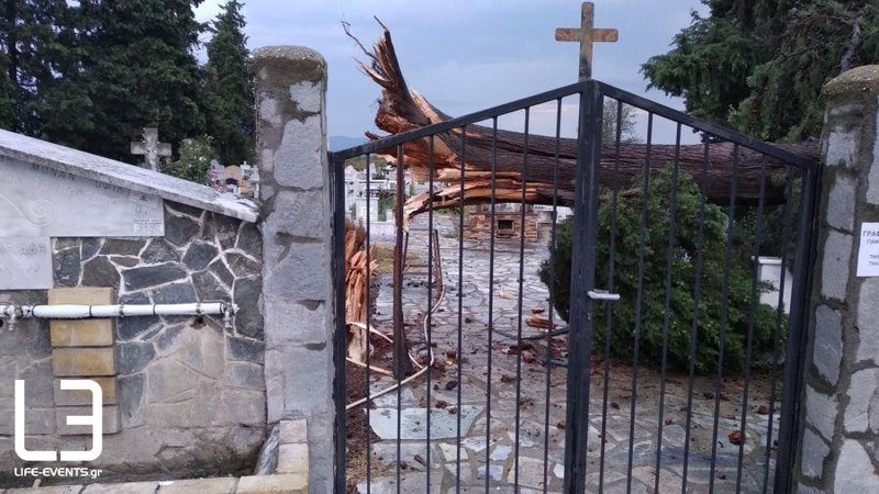 Ενα κυπαρίσσι έπεσε στο νεκροταφείο του χωριού Μαυρούδα