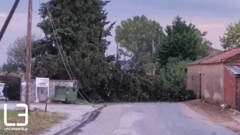 Σφοδρή καταιγίδα έπληξε το χωριό της «ρίγανης» στην Βόλβη -Καταστράφηκαν καλλιέργειες [εικόνες & βίντεο] | iefimerida.gr 2