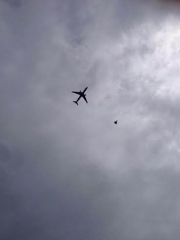 Αρρωστημένη φάρσα το θρίλερ στο Μάντσεστερ; -Μαχητικό συνόδευσε Airbus μετά από ενημέρωση για ύποπτο αντικείμενο [εικόνες&βίντεο] | iefimerida.gr 3