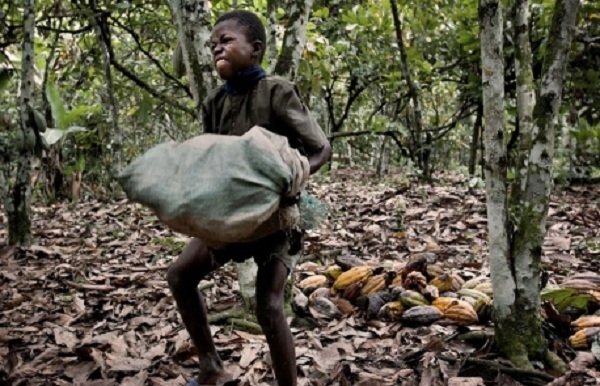 Η «σκοτεινή» πλευρά της σοκολάτας -Γιατί για μερικά παιδιά είναι ένας ασίγαστος εφιάλτης [εικόνες&βίντεο] | iefimerida.gr 0