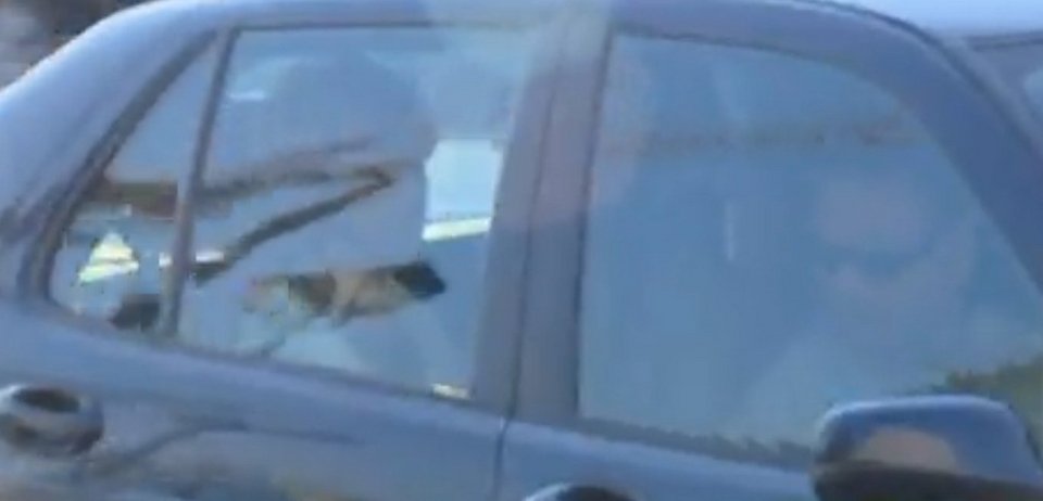 Η Ντέλια ήρθε στην Αθήνα κι έπιασε αμέσως δουλειά [ΦΩΤΟ] | iefimerida.gr 4