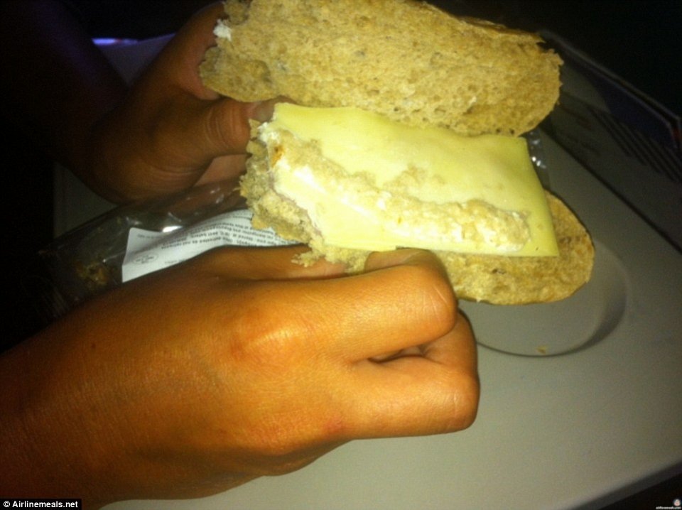 Η απόλυτη αηδία: Επιβάτες «κράζουν» τις αεροπορικές εταιρείες για τα άθλια γεύματα που σερβίρουν [εικόνες] | iefimerida.gr 9