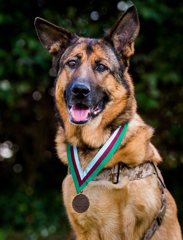 Παρασημοφόρησαν την τρίποδη Λούκα -Εχασε το πόδι της υπηρετώντας στο Ιράκ [εικόνες & βίντεο] | iefimerida.gr 7