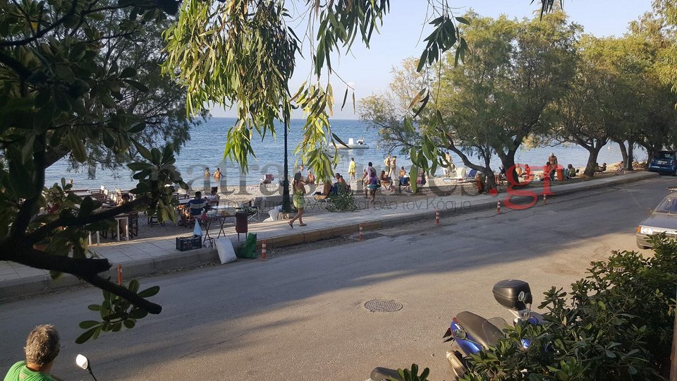 Πάτρα: Σε απόγνωση οι καταστηματάρχες σε Ρίο και Ακταίο από τις μέδουσες [εικόνες&βίντεο] | iefimerida.gr 0