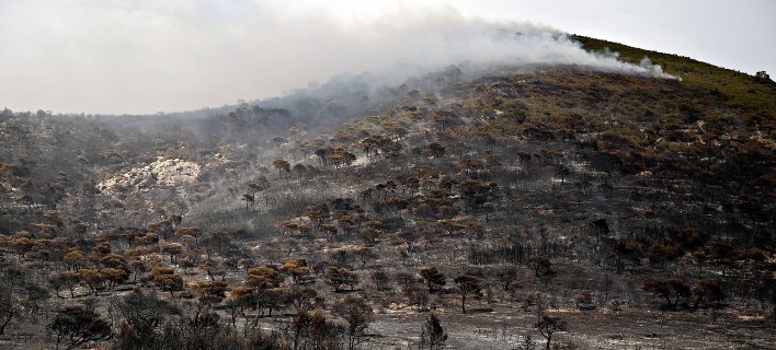 Συνελήφθη 52χρονος για την φωτιά στα Μέγαρα | iefimerida.gr 0