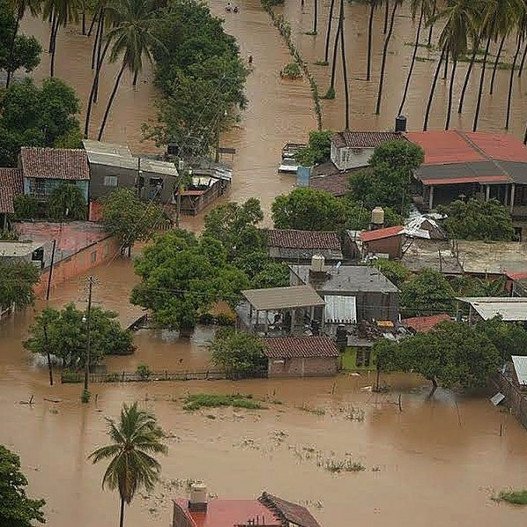 Ο τυφώνας Νιούτον σαρώνει το Μεξικό: Δύο νεκροί, τρεις αγνοούμενοι [εικόνα] | iefimerida.gr 0
