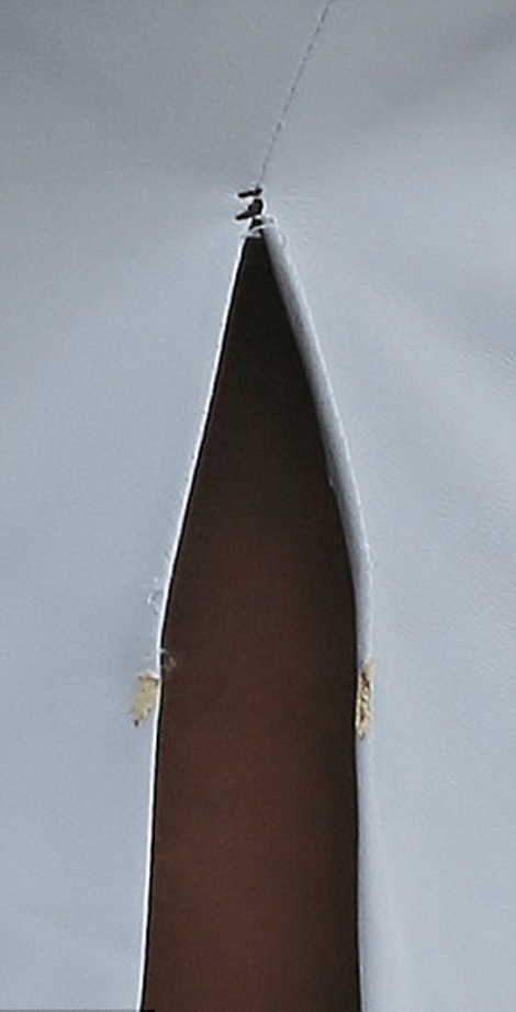 Οταν ανατινάχθηκαν οι ραφές φούστας τραγουδίστριας -Δεν άντεξαν την πίεση από τις καμπύλες της [εικόνες] | iefimerida.gr 3