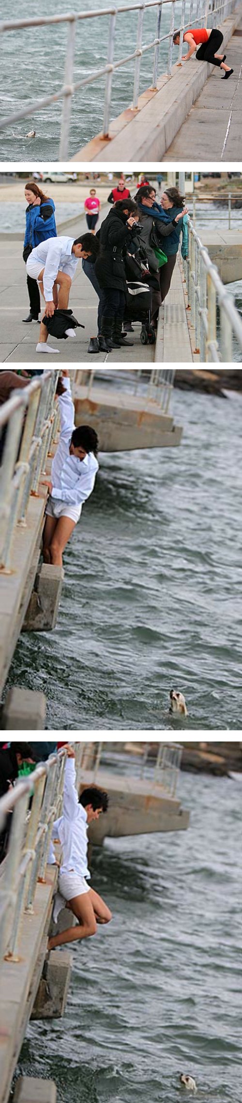 10 φωτογραφίες που θα αποκαταστήσουν την πίστη σου στην ανθρωπότητα [εικόνες] | iefimerida.gr 9