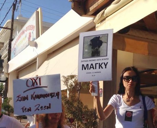 Η Ελεονώρα Μελέτη ξεσπά: Ντροπή και αίσχος! | iefimerida.gr 8