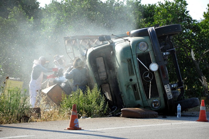 «Πλημμύρισε» μέλισσες η επαρχιακή οδός Ναυπλίου-Μυκηνών: Ανετράπη φορτηγό με κυψέλες [εικόνες] | iefimerida.gr 14