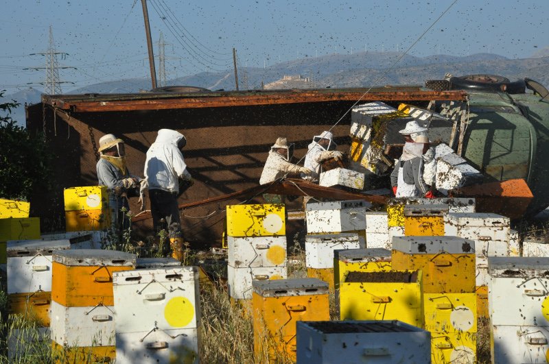 «Πλημμύρισε» μέλισσες η επαρχιακή οδός Ναυπλίου-Μυκηνών: Ανετράπη φορτηγό με κυψέλες [εικόνες] | iefimerida.gr 2