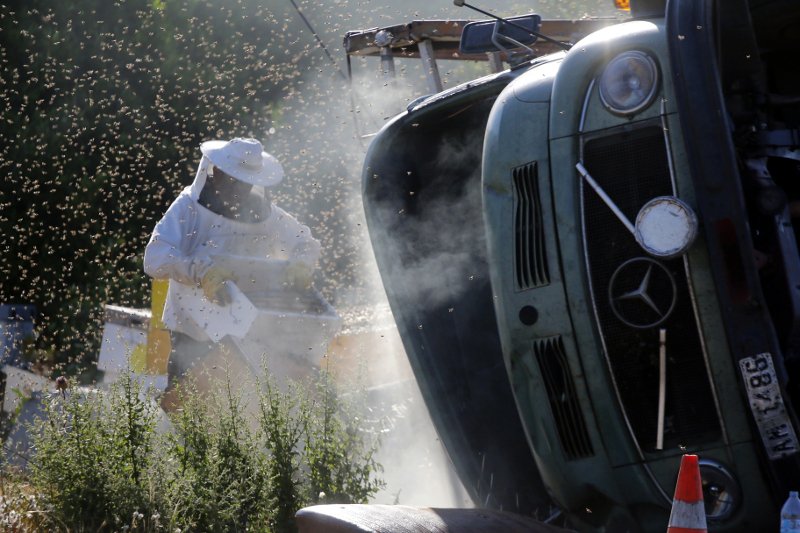 «Πλημμύρισε» μέλισσες η επαρχιακή οδός Ναυπλίου-Μυκηνών: Ανετράπη φορτηγό με κυψέλες [εικόνες] | iefimerida.gr 6