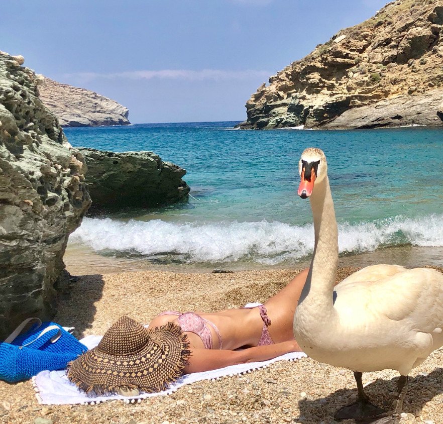 Η Ελένη Μενεγάκη ποζάρει με το μαγιό της στην Ανδρο και την πιο... περίεργη παρέα [εικόνες] | iefimerida.gr 1