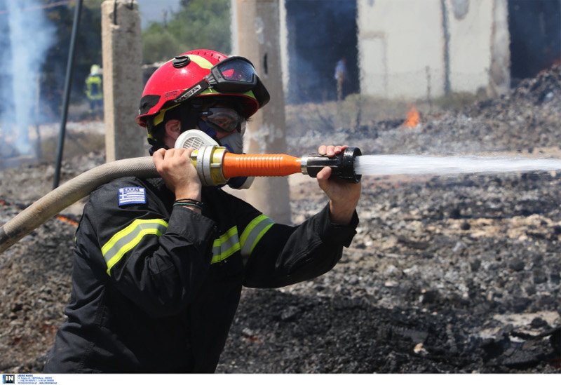 Πυρκαγιά στο Μενίδι Αττικής- Μεγάλη επιχείρηση της Πυροσβεστικής | iefimerida.gr 2