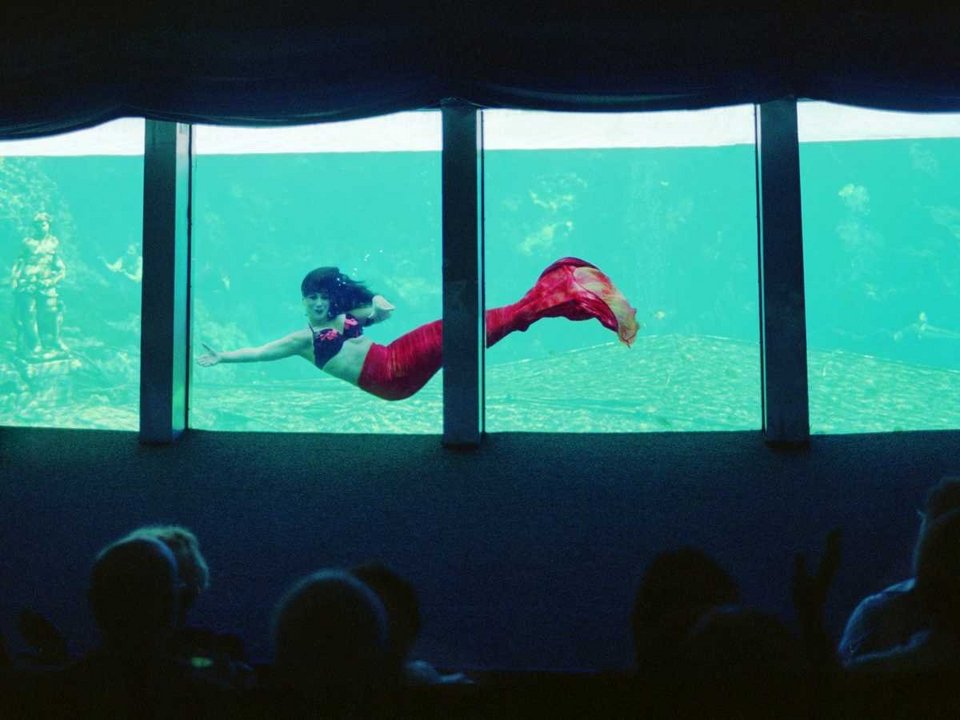 Ένα από τα παλαιότερα πάρκα με γοργόνες που λειτουργεί μέχρι σήμερα σαγηνεύοντας με την αλλόκοτη ομορφιά του [εικόνες]  | iefimerida.gr 2