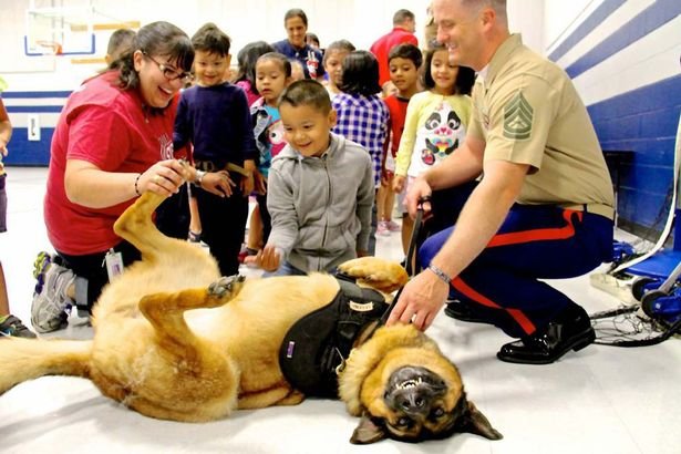 Παρασημοφόρησαν την τρίποδη Λούκα -Εχασε το πόδι της υπηρετώντας στο Ιράκ [εικόνες & βίντεο] | iefimerida.gr 2