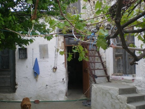 Το χωριό των γιατρών που δεν έχει γιατρό -Γιατί ο παραδοσιακός οικισμός της Κρήτης έχει παράδοση στην ιατρική επιστήμη [εικόνες] | iefimerida.gr 3