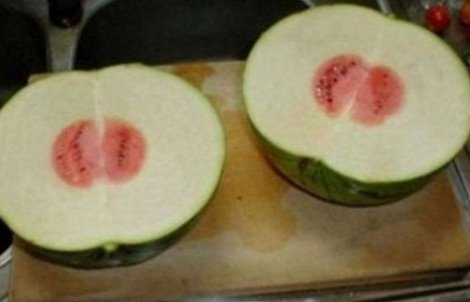 Εικόνες σοκ μεταλλαγμένων από τη ραδιενέργεια φρούτων και λαχανικών [εικόνες] | iefimerida.gr 3