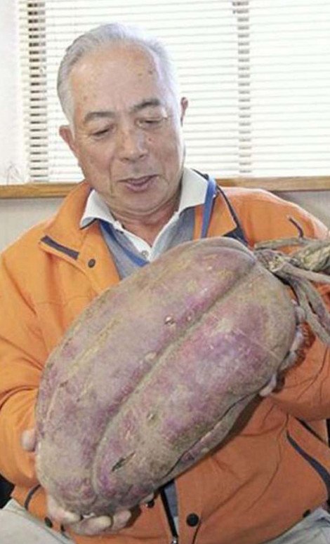 Εικόνες σοκ μεταλλαγμένων από τη ραδιενέργεια φρούτων και λαχανικών [εικόνες] | iefimerida.gr 5