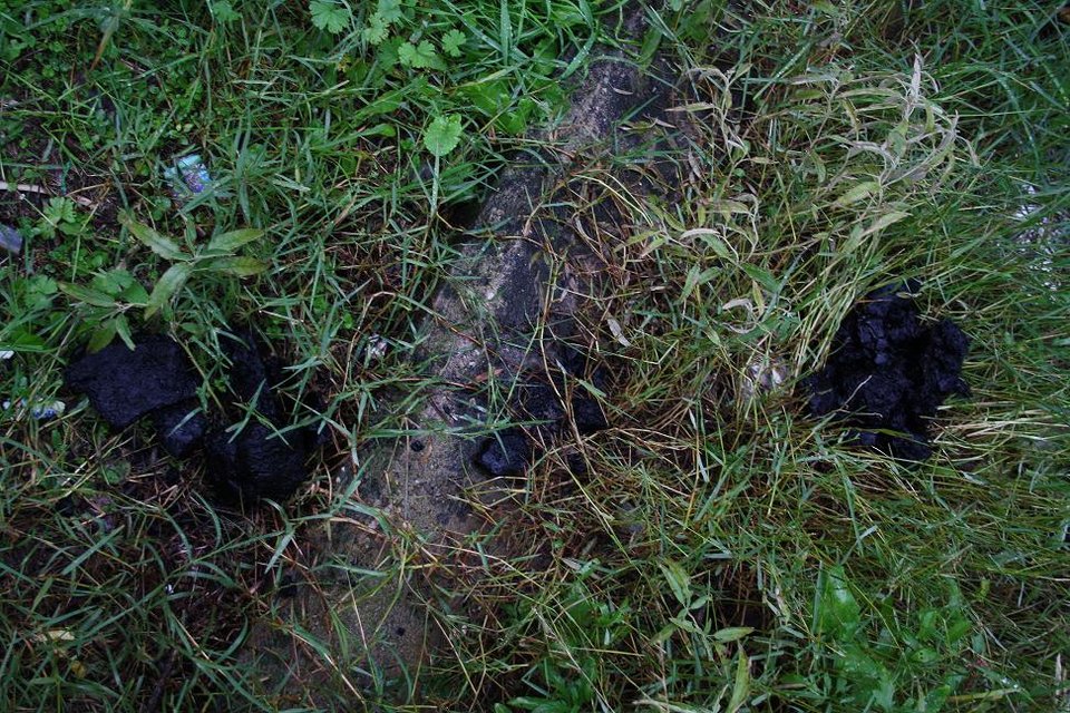 Θραύσματα από τον μετεωρίτη έπεσαν στο Αγρίνιο -Ειδική ομάδα θα σπεύσει στη περιοχή να εξετάσει τα ευρήματα [εικόνες] | iefimerida.gr 0