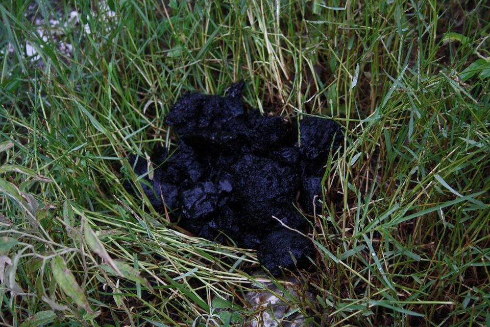 Θραύσματα από τον μετεωρίτη έπεσαν στο Αγρίνιο -Ειδική ομάδα θα σπεύσει στη περιοχή να εξετάσει τα ευρήματα [εικόνες] | iefimerida.gr 1