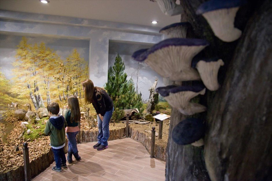 Υποψήφιο για δύο Ευρωπαϊκά βραβεία το Μουσείο Φυσικής Ιστορίας Μετεώρων [εικόνες] | iefimerida.gr 1