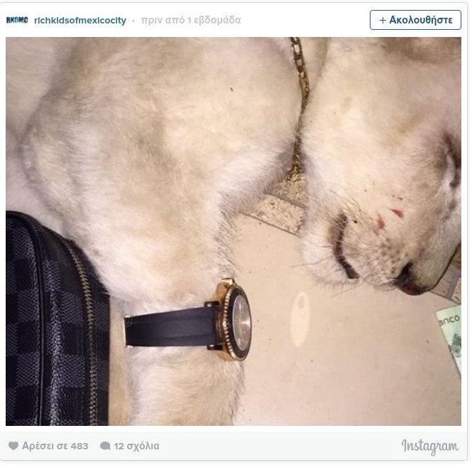 Τα πλουσιόπαιδα του Μεξικού ξεσαλώνουν και προκαλούν στο Instagram [εικόνες] | iefimerida.gr 16