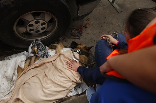 Μεξικό: Χάνονται οι ελπίδες για επιζώντες -Δεν υπάρχει άλλο παιδί ζωντανό στο σχολείο του θανάτου [βίντεο] | iefimerida.gr 0