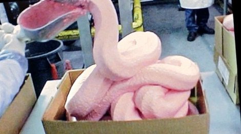 Τα McDonald's προσπαθούν να διαλύσουν το μύθο της... ροζ αηδίας -Καρέ-καρέ πώς φτιάχνονται τα  Chicken McNuggets [βίντεο] | iefimerida.gr 0