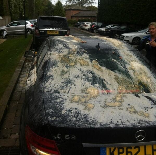 Αντίο στο ποδόσφαιρο με αυγά κι αλεύρι για τον Μάικλ Οουεν [εικόνες] | iefimerida.gr 0