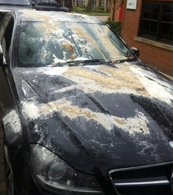 Αντίο στο ποδόσφαιρο με αυγά κι αλεύρι για τον Μάικλ Οουεν [εικόνες] | iefimerida.gr 1