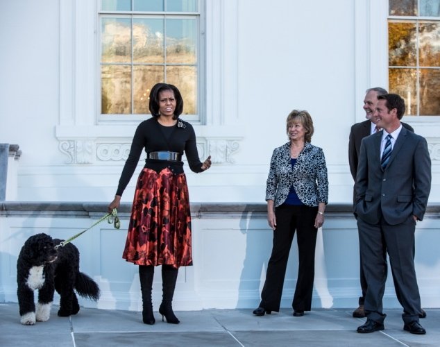 Τα τετράποδα «μωρά» των σταρ - Πιστοί φίλοι ή χνουδωτά αξεσουάρ; [εικόνες] | iefimerida.gr 5