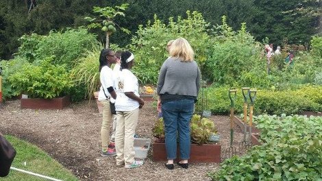 Η Μισέλ Ομπάμα σε ρόλο κηπουρού -Με τσάπα, φτυάρι και τσουγκράνα [εικόνες] | iefimerida.gr 6
