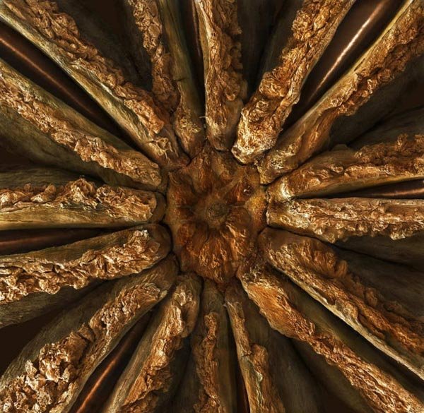 Πως είναι το φαγητό μας κάτω από το μικροσκόπιο [εικόνες]  | iefimerida.gr 10