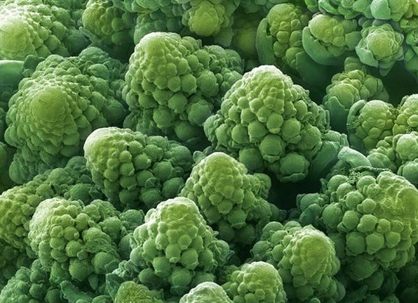 Πως είναι το φαγητό μας κάτω από το μικροσκόπιο [εικόνες]  | iefimerida.gr 9