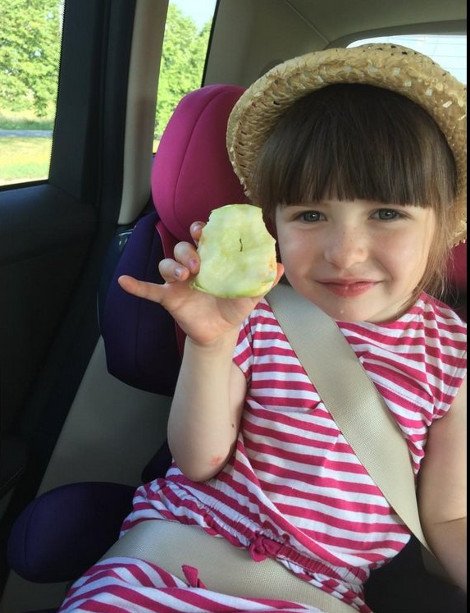 Φάτε μήλα κατά του Πούτιν -Eτσι απαντούν οι Πολωνοί στο ρωσικό εμπάργκο [εικόνες] | iefimerida.gr 1