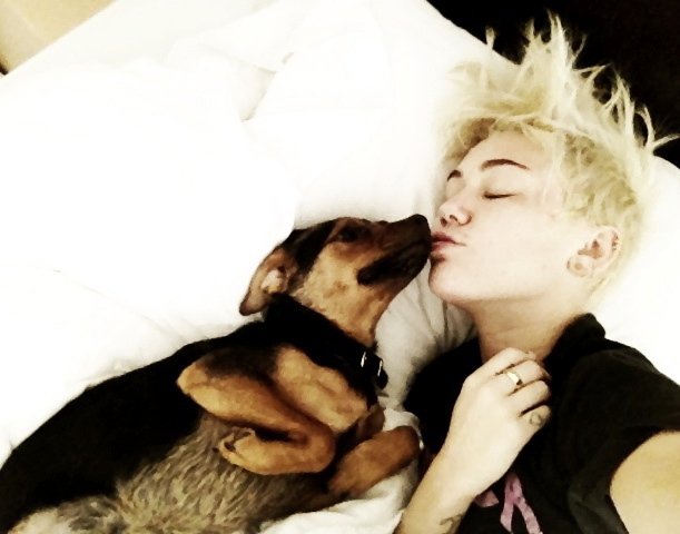 Τα τετράποδα «μωρά» των σταρ - Πιστοί φίλοι ή χνουδωτά αξεσουάρ; [εικόνες] | iefimerida.gr 6