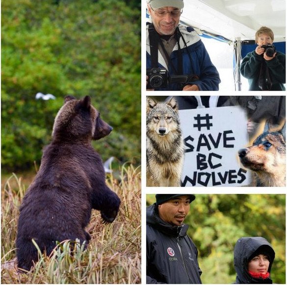 Η Μάιλι Σάιρους στο Βανκούβερ υπέρ των λύκων [εικόνες] | iefimerida.gr 0